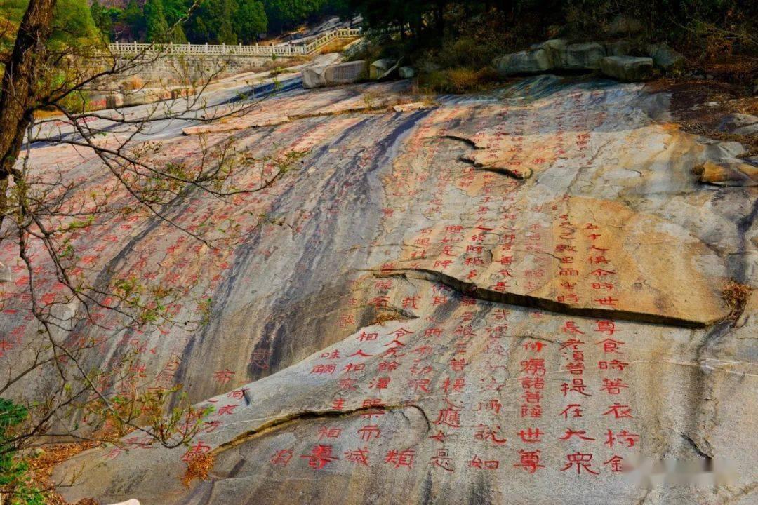 以撒的结合：重生